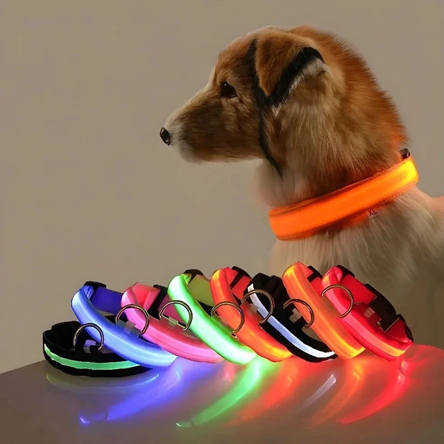 Collar de nailon LED para perros