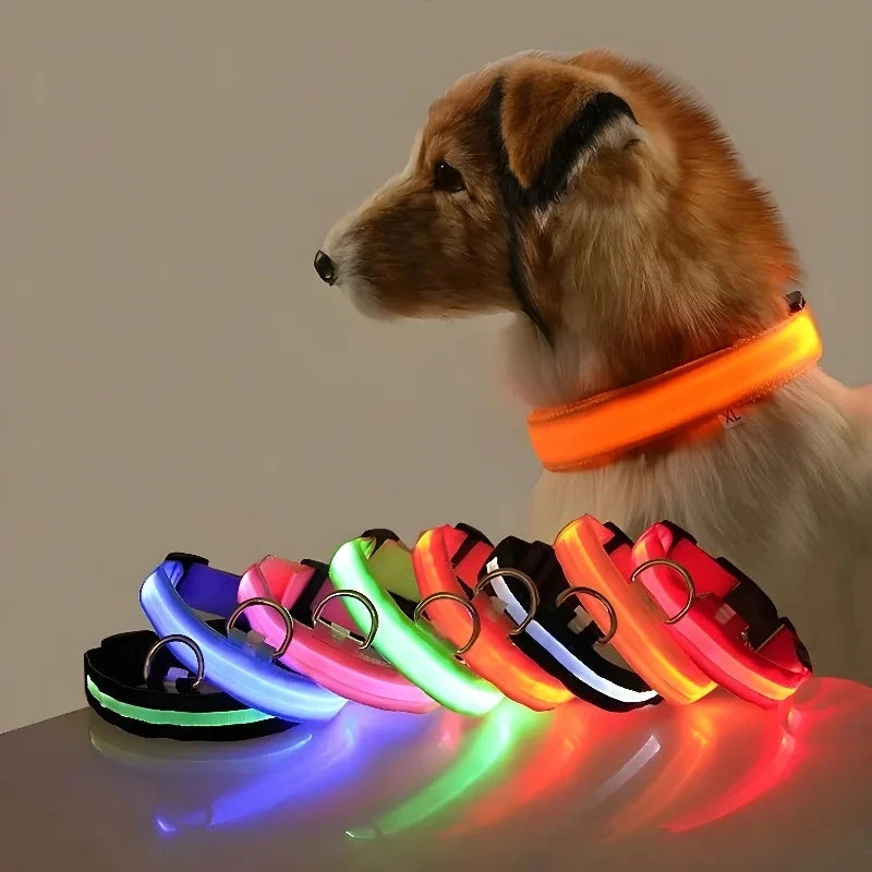 Collar de nailon LED para perros