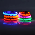 Collar de nailon LED para perros