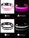 Collar de nailon LED para perros