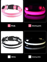 Collar de nailon LED para perros