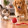 Pelota Interactiva Inteligente