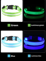 Collar de nailon LED para perros