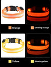 Collar de nailon LED para perros