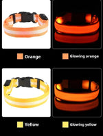 Collar de nailon LED para perros