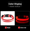 Collar de nailon LED para perros