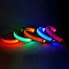 Collar de nailon LED para perros