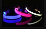 Collar de nailon LED para perros